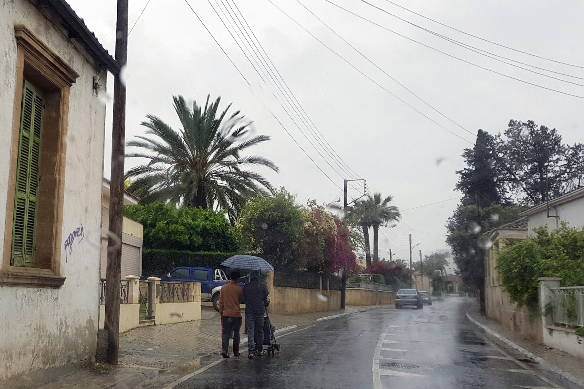 Οι βροχές έριψαν δέντρο στη μέση του δρόμου