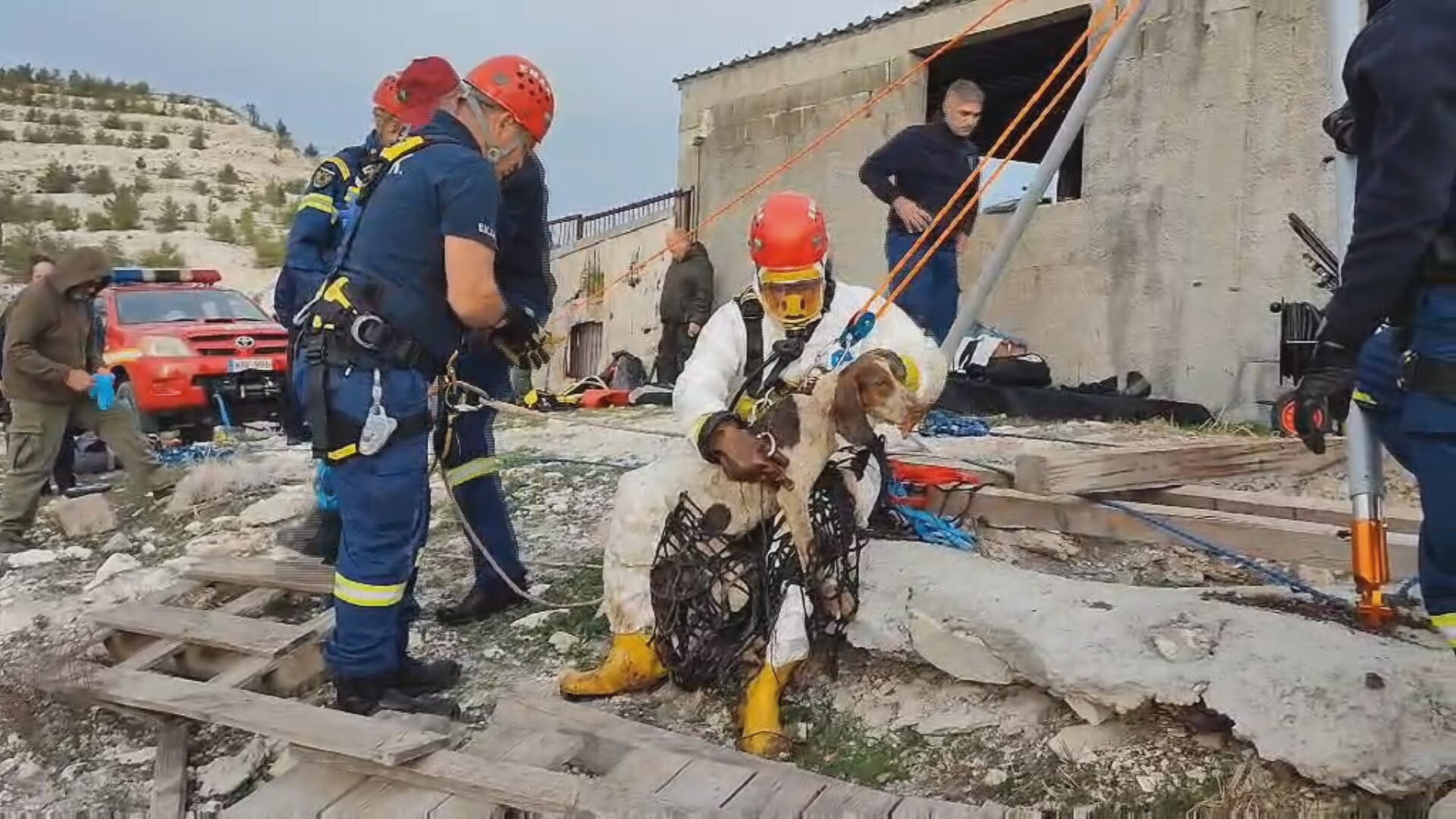 Με σύρματα στο λαιμό τα δύο σκυλιά που ανασύρθηκαν από τον λάκκο στο Καλό Χωριό