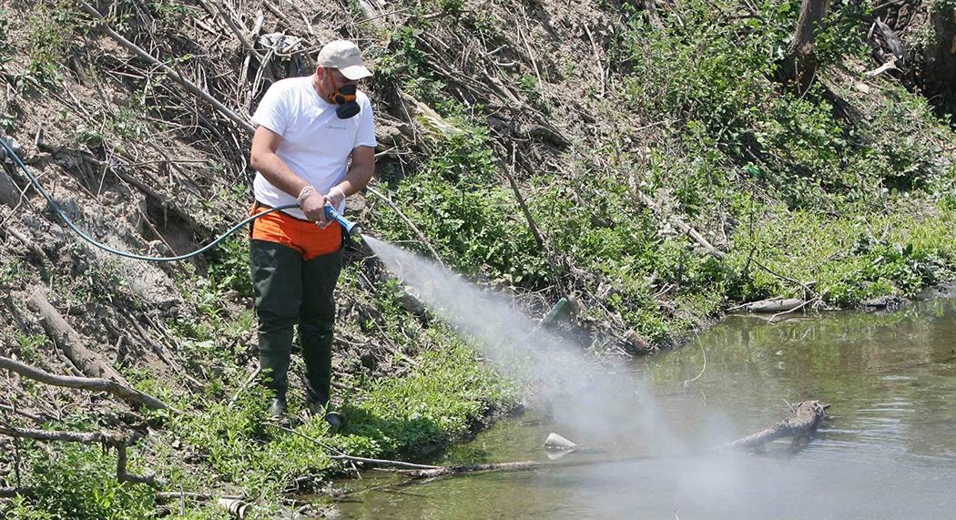 Άρχισαν οι ψεκασμοί για το Aedes Aegypti