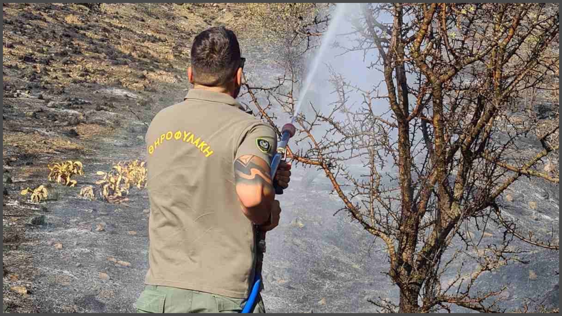 Αγροπυροσβέστες στο έλεος κακοποιών, ζητούν ασφάλεια και μισθολογική αναβάθμιση