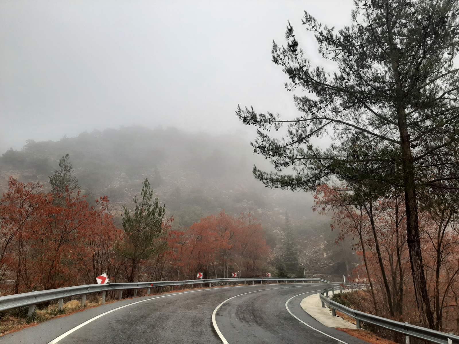 Οδηγοί προσοχή! Πυκνή ομίχλη σε περιοχές της ορεινής Λεμεσού