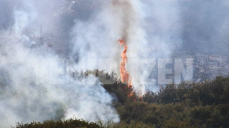 Βρήκαν την αιτία της φωτιάς στον κατεχόμενο Λιμνίτη