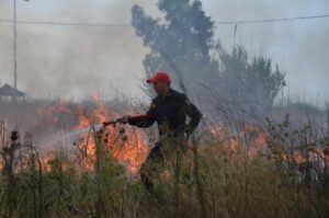 Πεύκα και θάμνους έκαψε πυρκαγιά που εκδηλώθηκε στους Τρούλλους