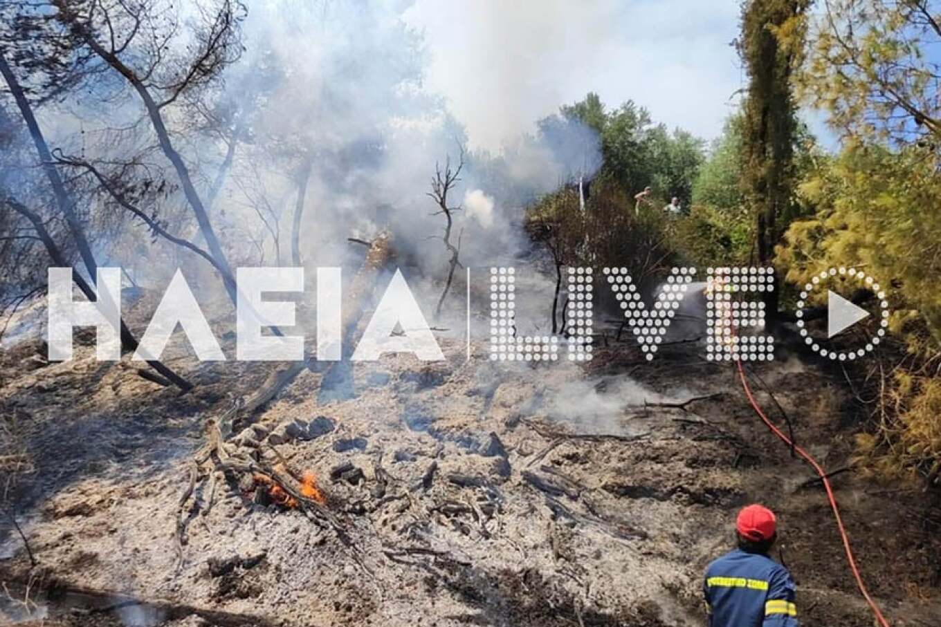 Τριπλό το πύρινο μέτωπο στην Ηλεία, κοντά σε σπίτια οι φλόγες (ΦΩΤΟ)