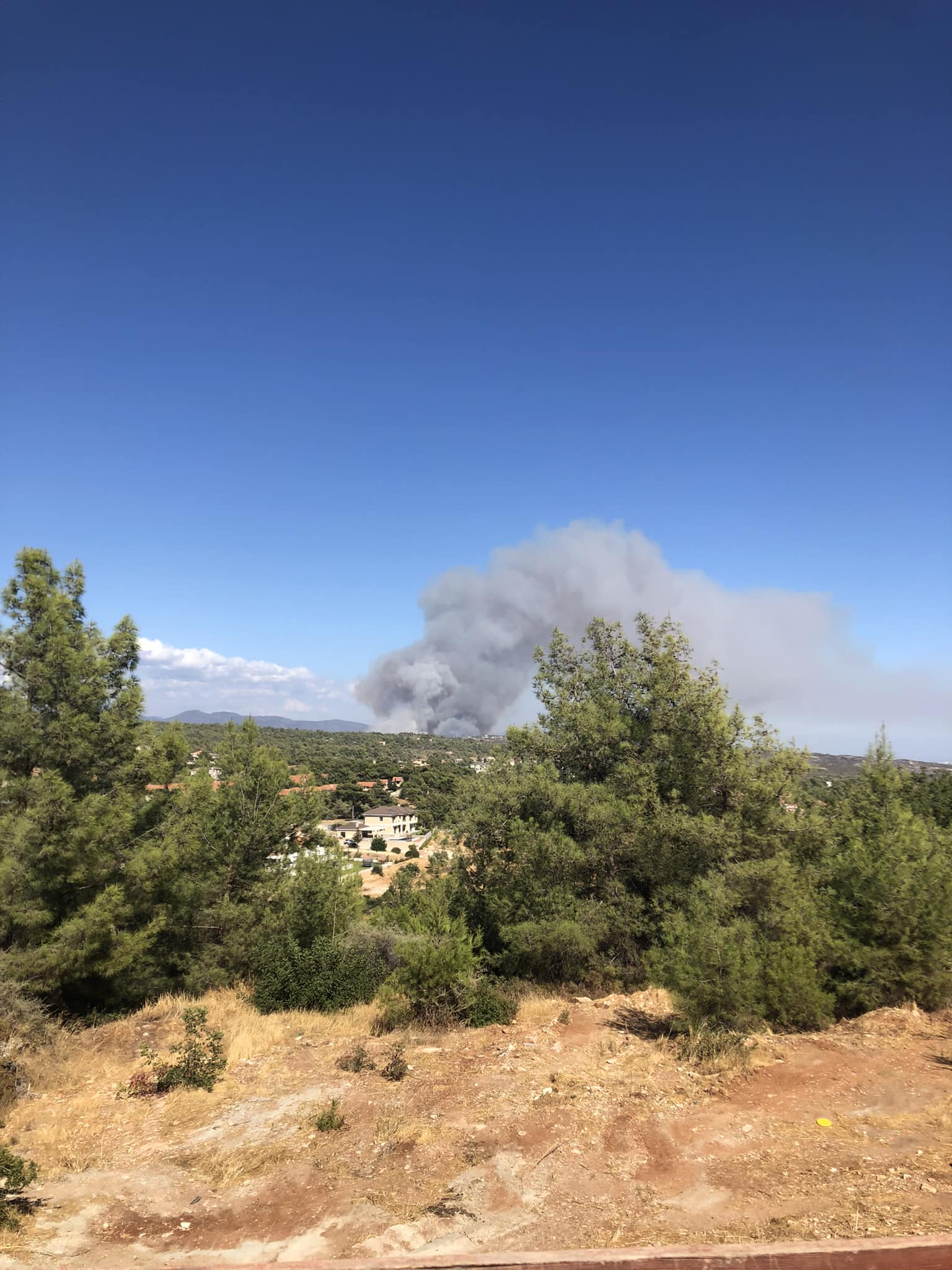 Επένδυση στην πρόληψη πυρκαγιών ζητά η Περιβαλλοντική Κίνηση Κύπρου