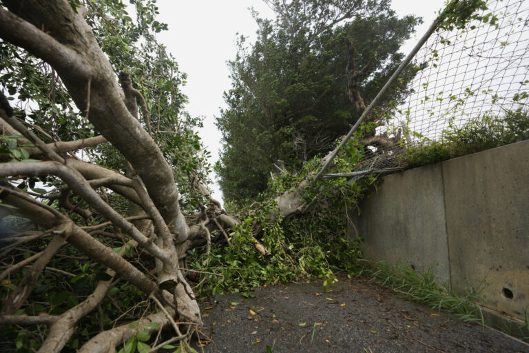 Ιαπωνία: Ένας νεκρός, 213.000 νοικοκυριά χωρίς ρεύμα μετά το πέρασμα του τυφώνα