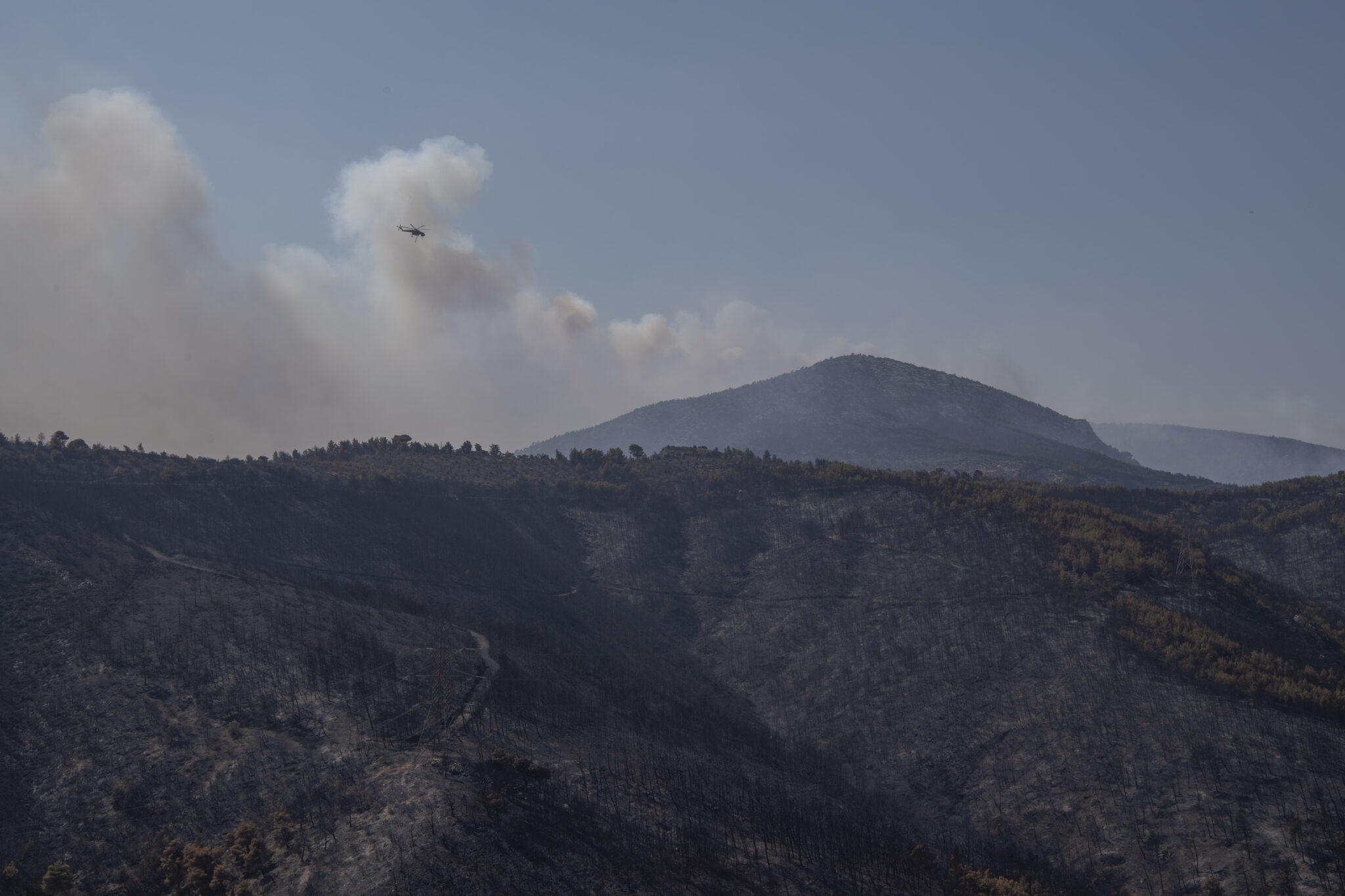 Μάχη με 122 πυρκαγιές σε όλη την Ελλάδα: Αναζωπυρώσεις σε Έβρο, Πάρνηθα, Βοιωτία