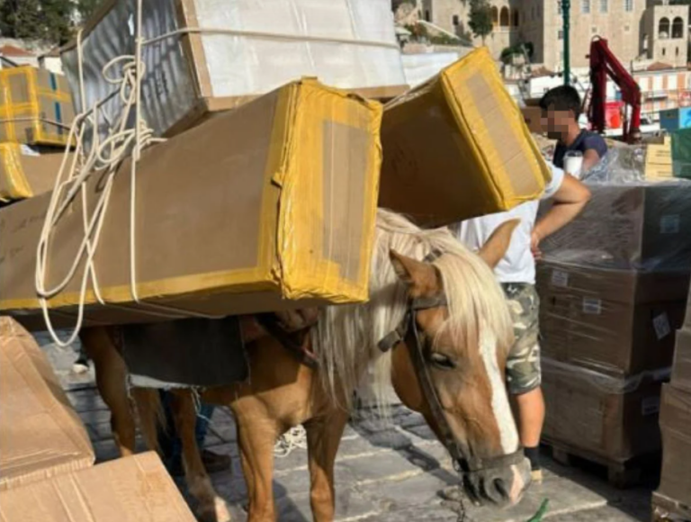 Εικόνες ντροπής στην Ύδρα: Γαϊδουράκι κουβαλάει μέχρι και ψυγεία