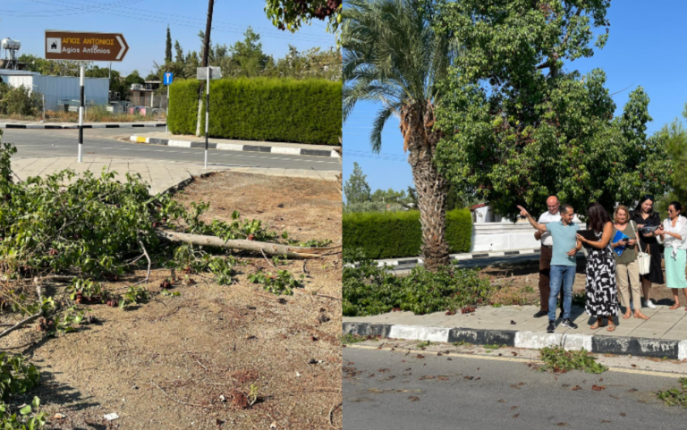 ΦΩΤΟ: Άρχισε η καταγραφή ζημιών στα Κελλιά μετά το πέρασμα του ανεμοστρόβιλου