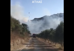 Οριοθετήθηκε η φωτιά στην επαρχία Πάφου, στάχτη 3 εκτάρια γης