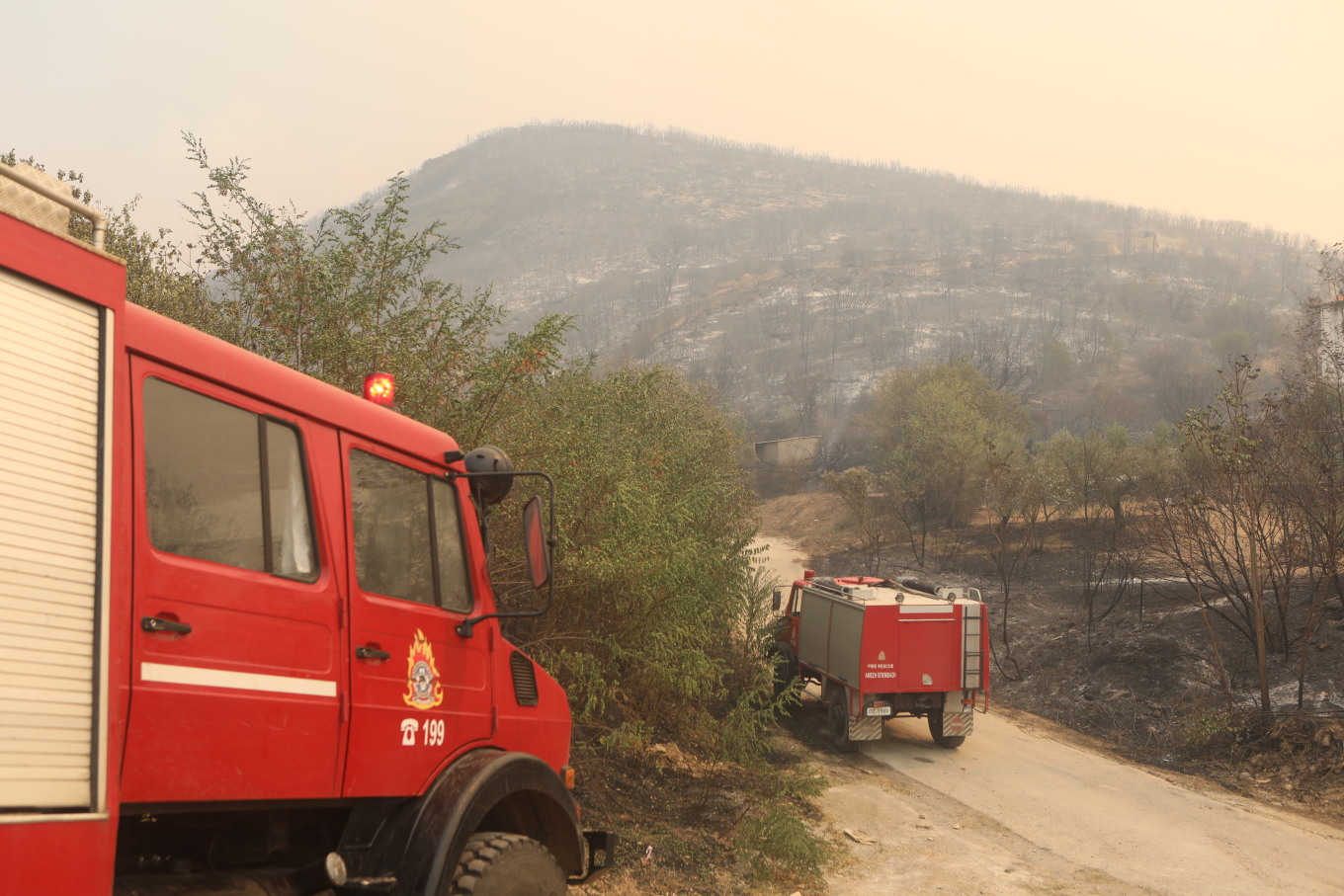 Σε ύφεση είναι η πυρκαγιά στον Έβρο, συνεχίζεται η επιχείρηση κατάσβεσης