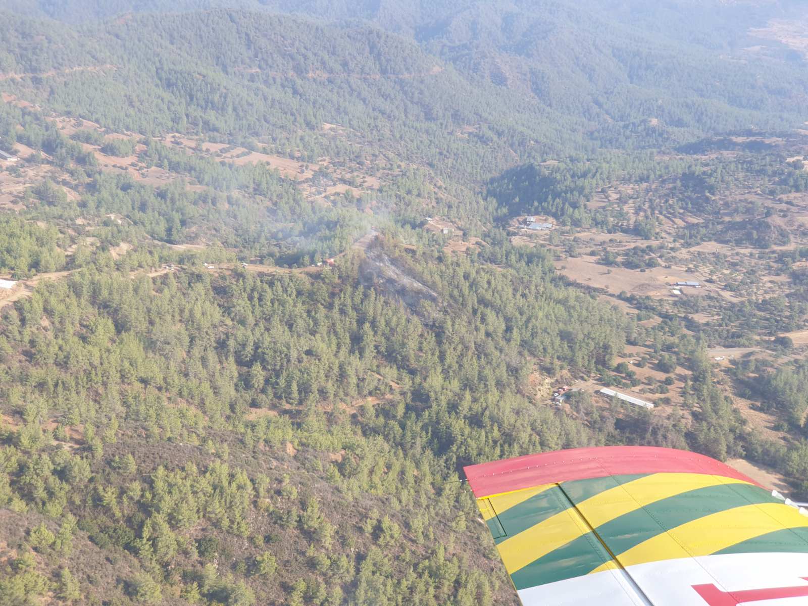 ΦΩΤΟ: Πεύκα και χαμηλή βλάστηση έκαψε η φωτιά που προκάλεσε κεραυνός στην Πάφο