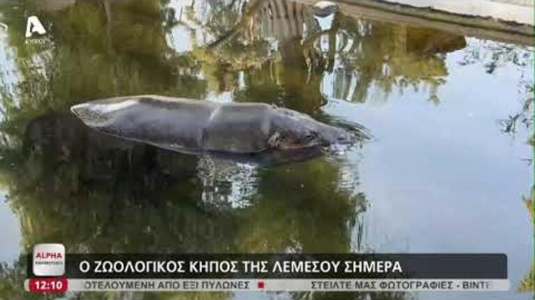 Η ιστορία του ζωολογικού κήπου Λεμεσού