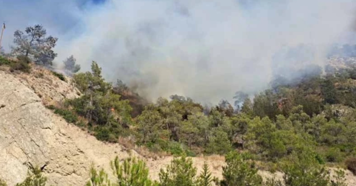 ΦΩΤΟ: Φωτιά σε Φλαμούδι-Ακανθού στα κατεχόμενα, στο σημείο ο Τατάρ