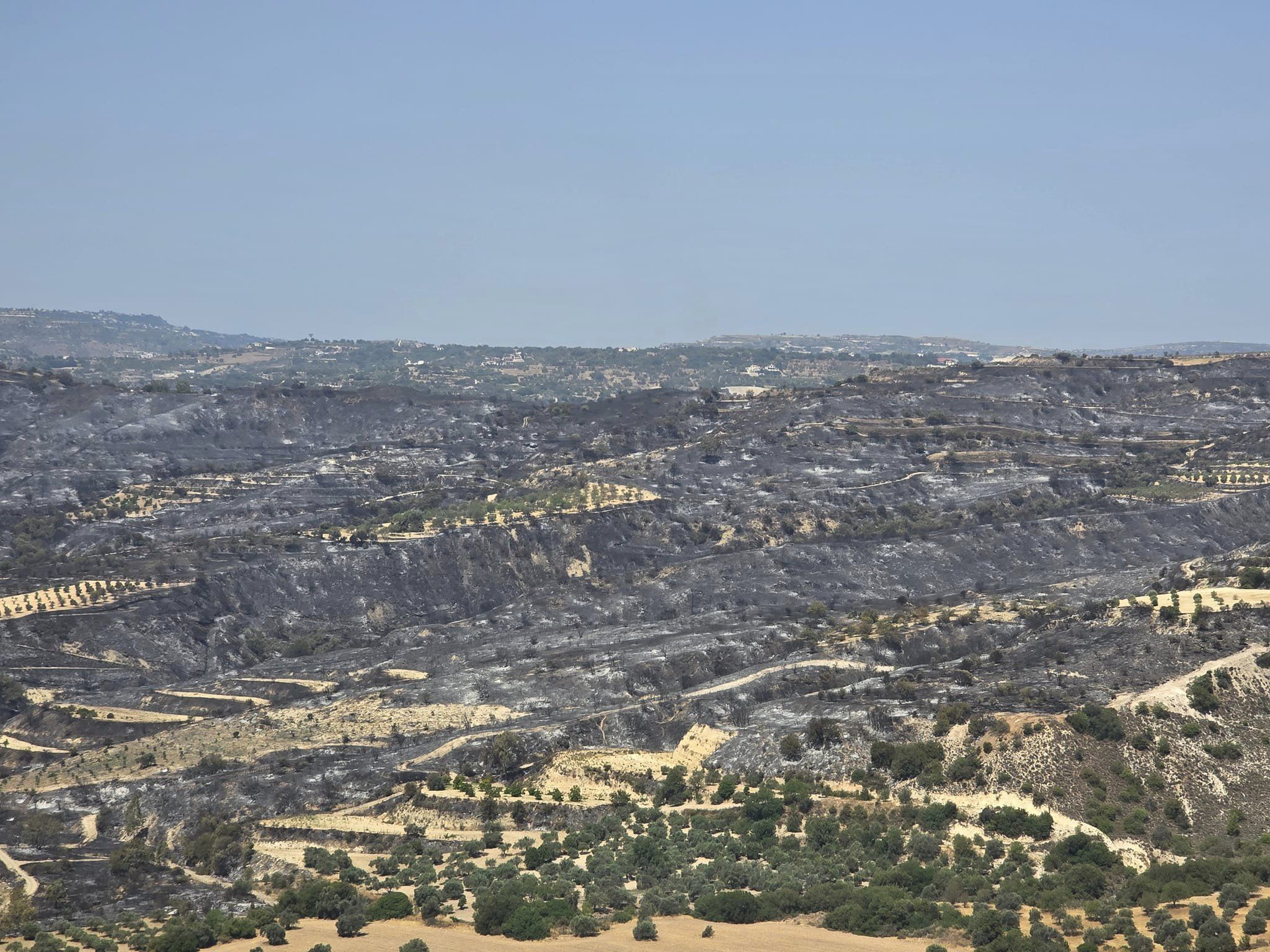 Κάηκαν 120 ζώα, στάχτη 3,000 δεκαρία γεωργικής γης από πυρκαγιές τις στην Πάφο