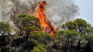 Ολονύχτια μάχη με τις φλόγες στο όρος Πάικο στην περιοχή Κρανιά