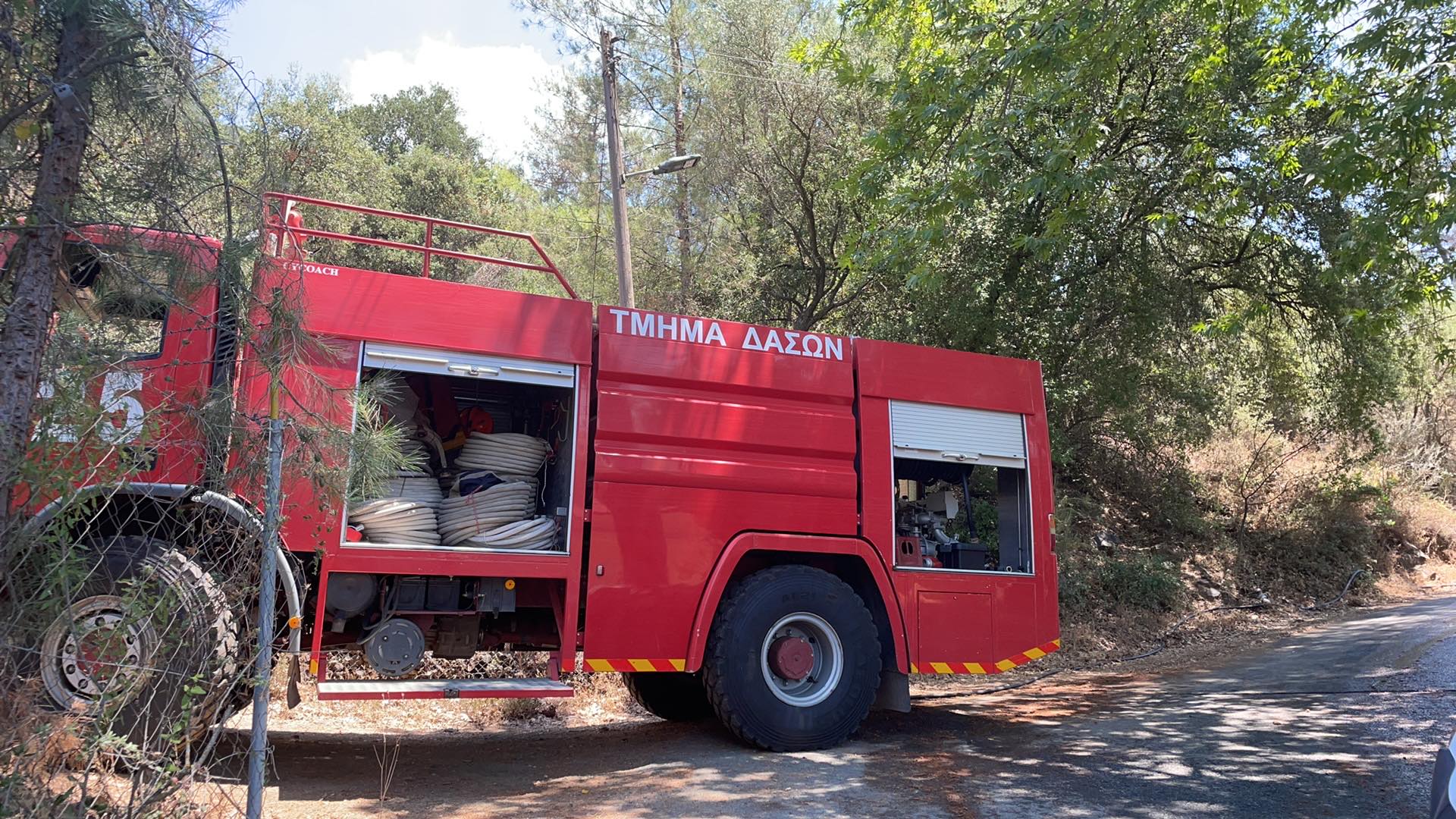 Πεύκα και κυπαρίσσια έγιναν στάχτη από πυρκαγιά κοντά στο δάσος Ριζοελιάς