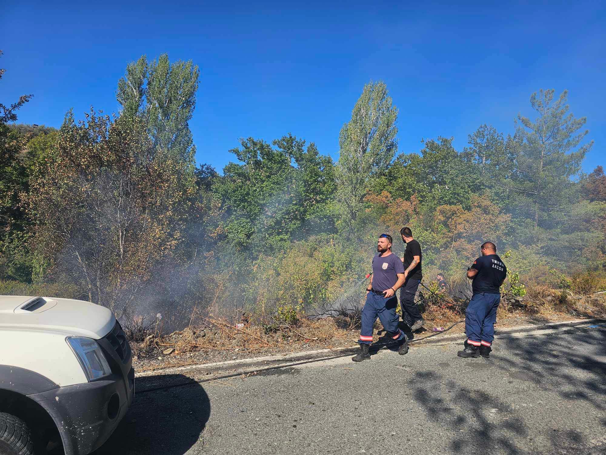 Από καλώδια της ΑΗΚ ξέσπασε φωτιά στις Κάτω Πλάτρες