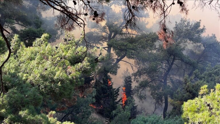 Υπό έλεγχο οι πυρκαγιές στη Σμύρνη