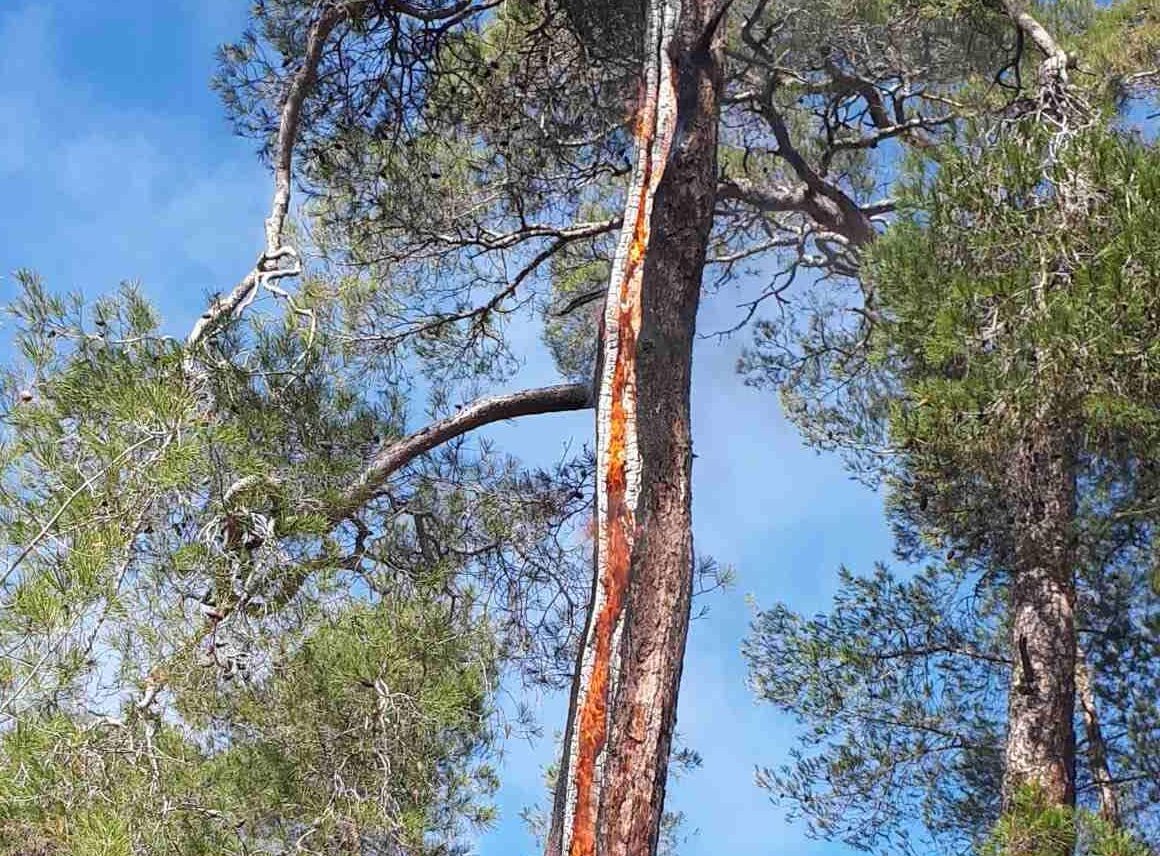 Κεραυνός προκάλεσε πυρκαγιά στο Δάσος Πάφου